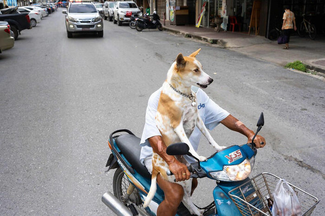 Photographer-takes-to-the-streets-capturing0