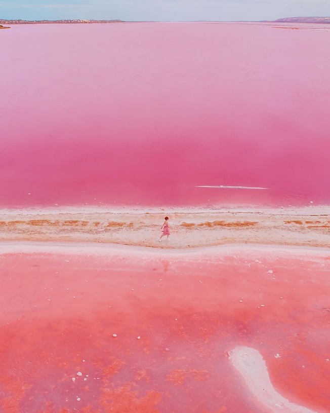 Magic-pink-lagoon-in-Western-Australia-5c6df08a8b65b__880