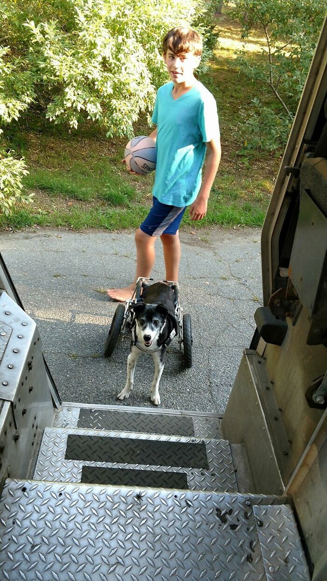 ups-drivers-meet-animals-5-6666a0443bc17__700 (1)