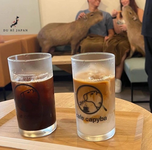 486620748_704804411881248_567257