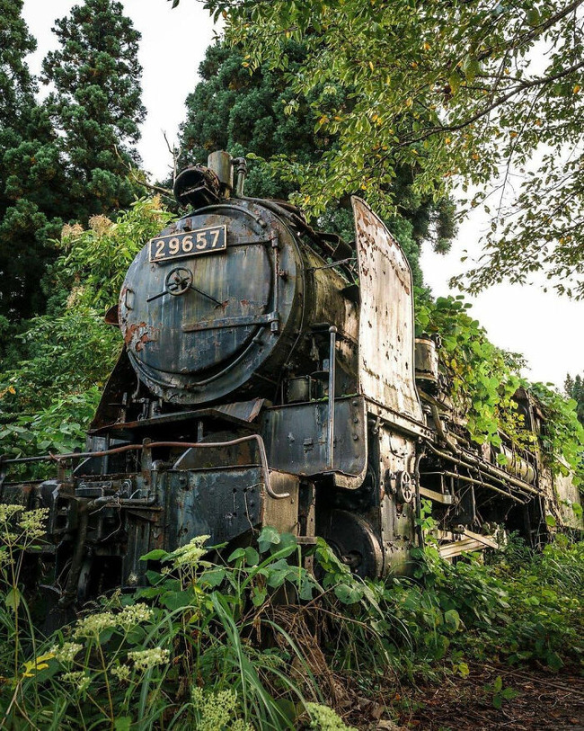 abandoned-beauties-pics-9-64060e392f359__700