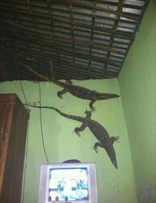 1544063118430