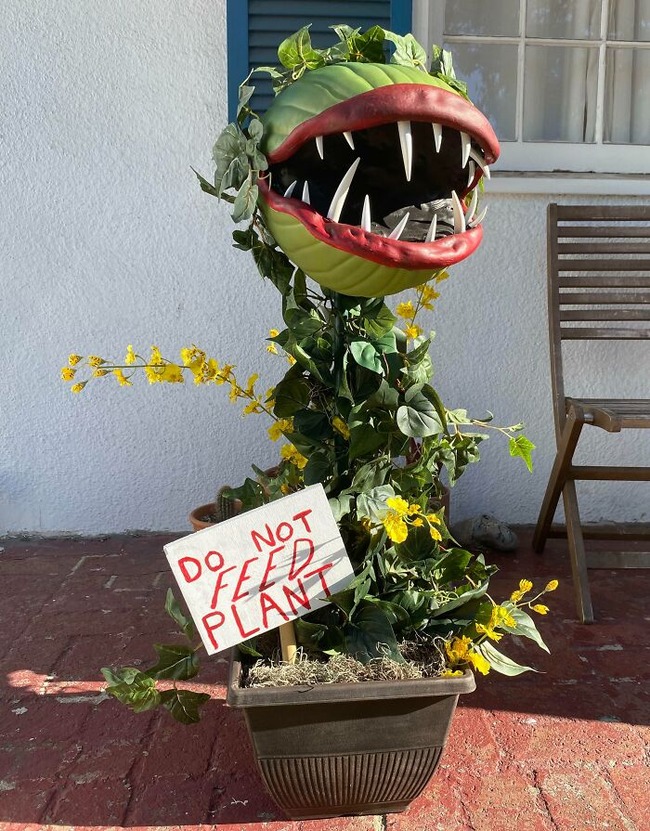 652cf5f4a82d3_creative-halloween-decorations-exterior