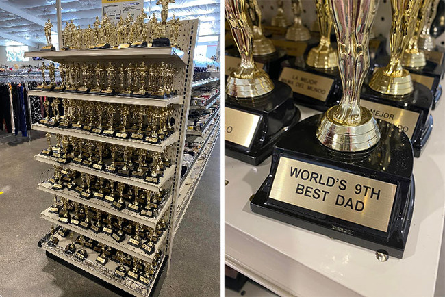 weird-secondhand-findings-116-644232ec15094__700 (1)