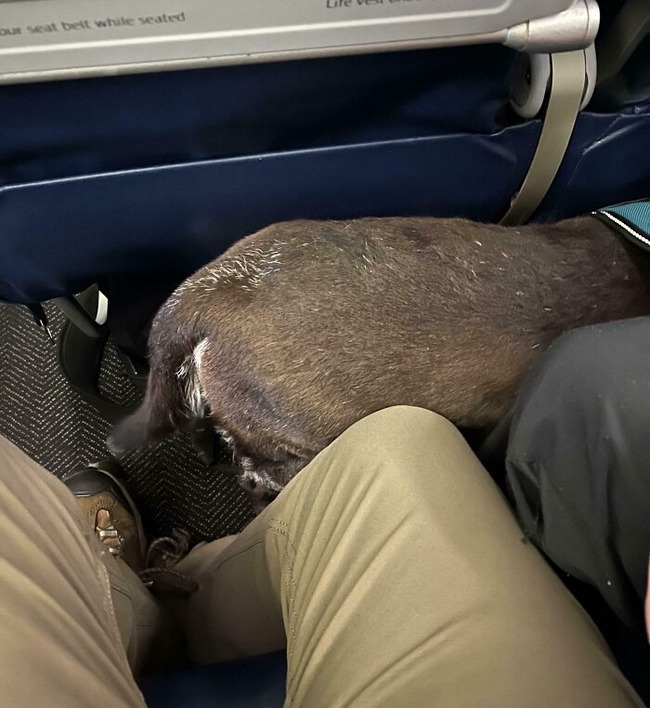 67446c125ced3_annoying-plane-passengers