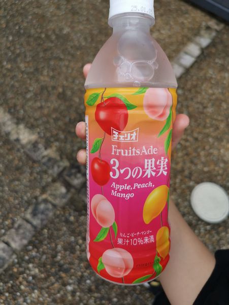 449859036_10168885596210099_5373985624317235492_n