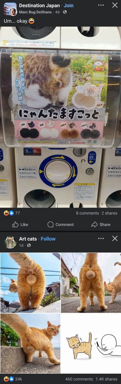 553720219_758978093611723_707727