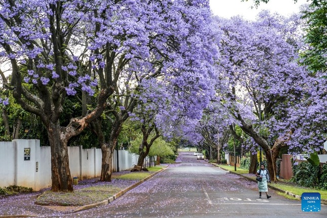 202210251899338671f3439da1e1ddf3