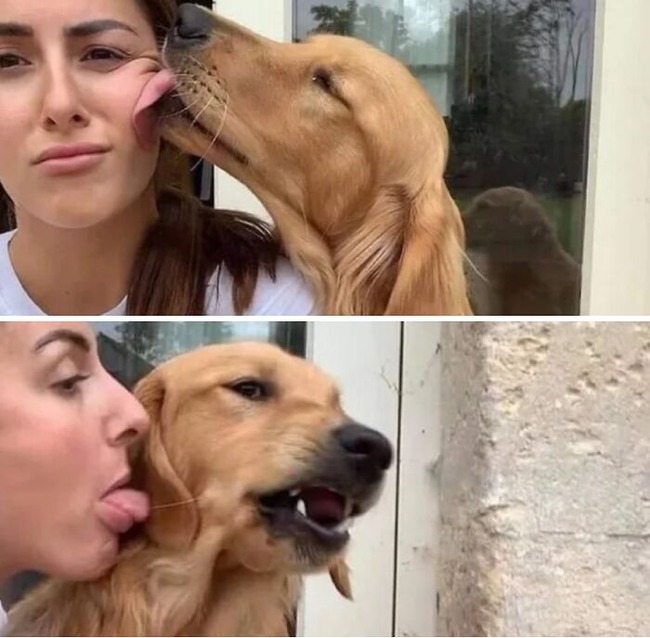 656f169797304_hilarious-whats-wrong-with-your-dog-pics