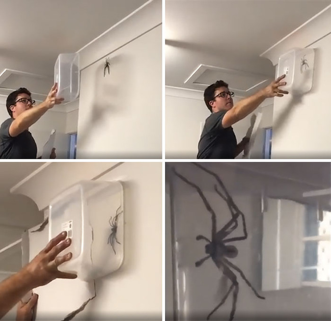 scary-unnerving-images-sweaty-palms-21-650482e2698f1__700 (1)