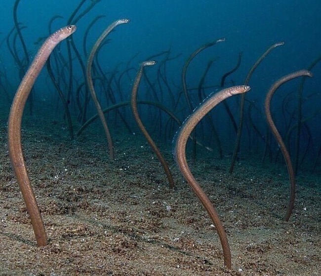 636b50e544385_b1jujrbstbx91__700