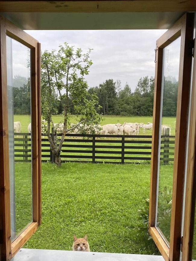 view-from-your-window-642ab7da5990c__700