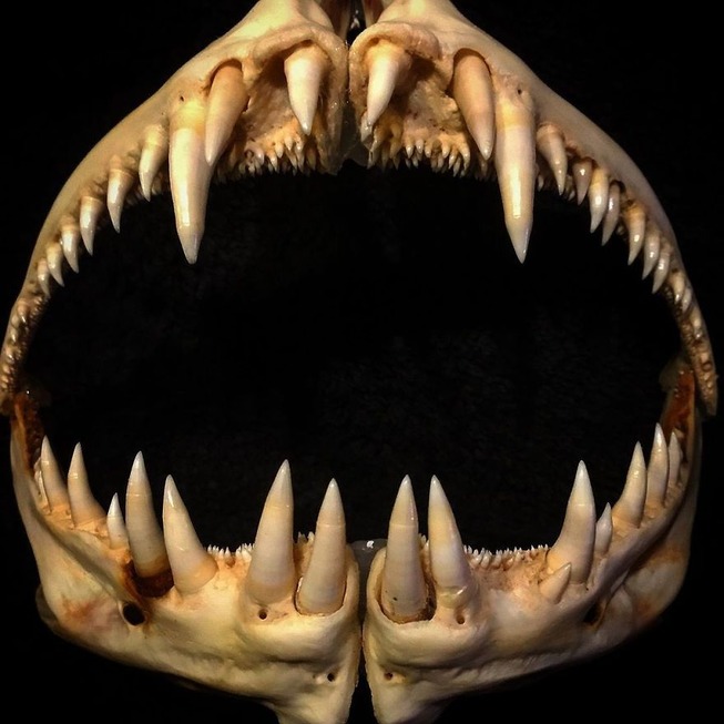 74970418_155185695887390_778575098058759043_n-5e09c8606f052__880