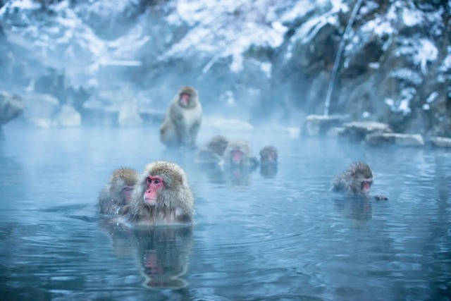 20231224_091539_36663a60_w1920