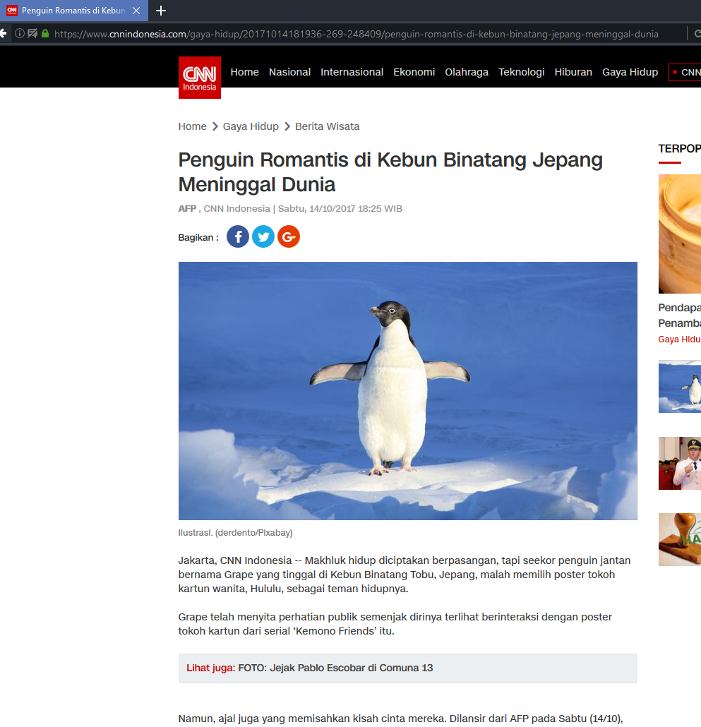 外国人 恋するペンギン グレープ君の献花台に続々とファンが参列している 海外の万国反応記 海外の反応 外国人 恋するペンギン グレープ君の献花台に続々とファンが参列している 海外の万国反応記 海外の反応