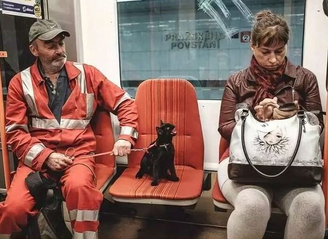 6791fbdad317b_funny-train-subway-passengers