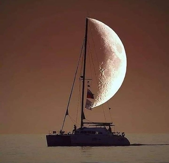 127691660_1123799064720789_5852372688279322684_n