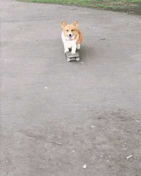 0t2kEnJ17IF9klCooZMoXn6EI8M6ydwh6FFDaqGLkAg