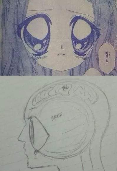 1647924072095