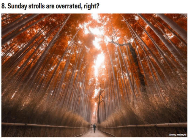 日本旅行をすべきではない理由