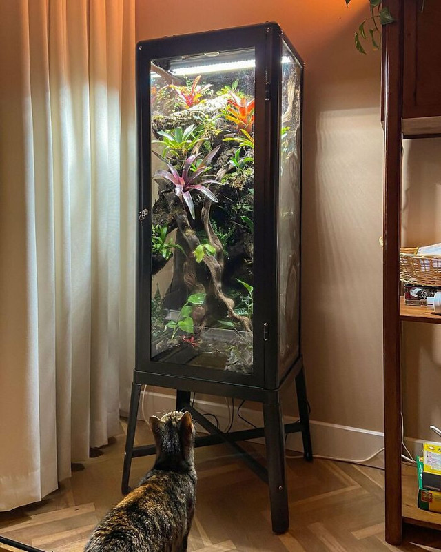 cool-interior-design-ideas-6a228(1)
