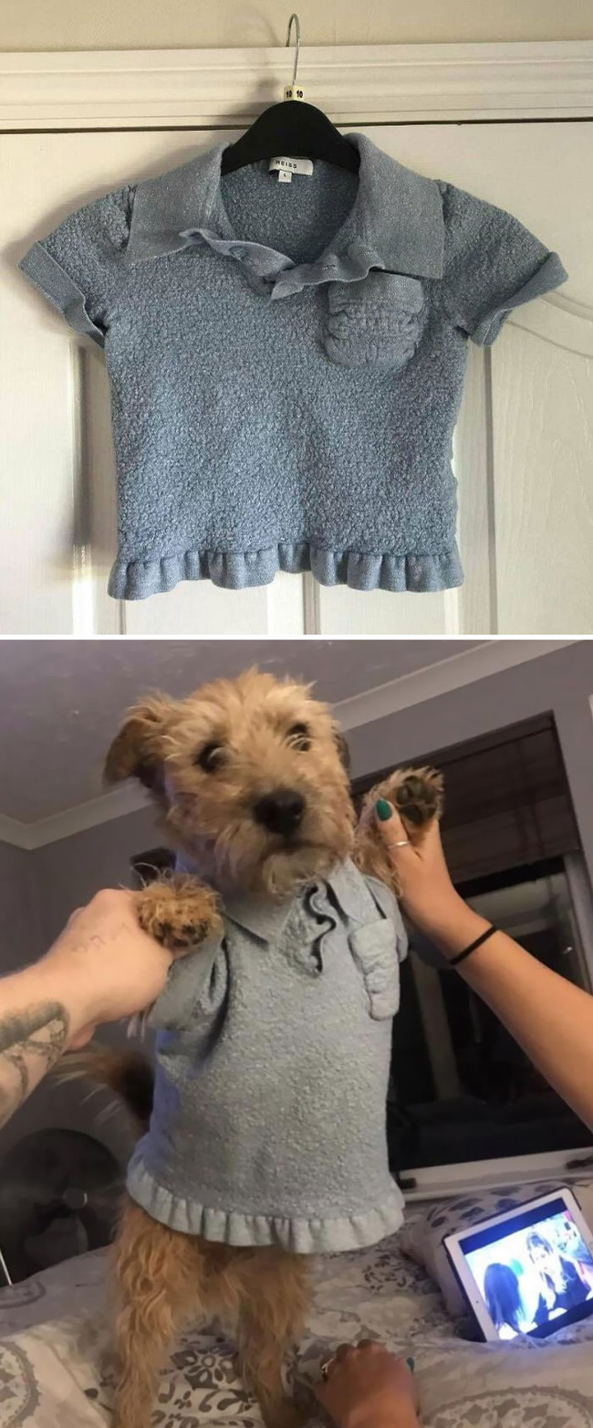 laundry-washing-drying-fails-8-655349c2dc858__700