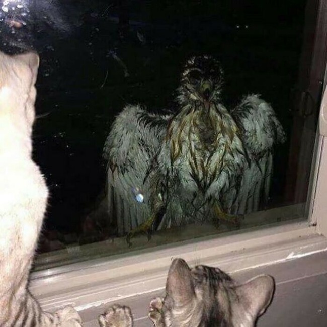 B5Auq05nqxW-png__700