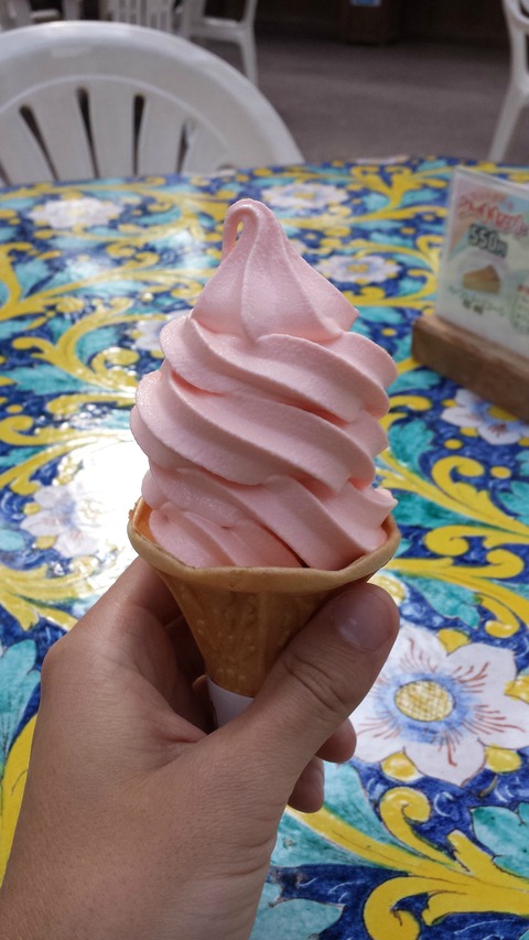 35 - Vogel Park Ice Cream