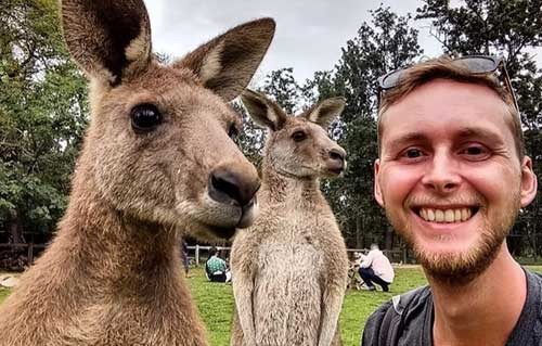 kangaroo-selfies-south-australia