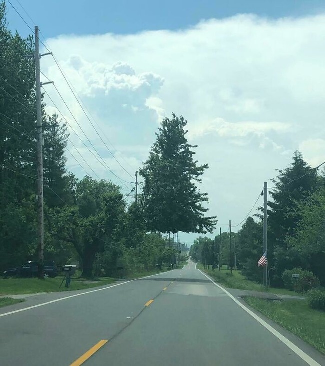 64ae54062fe8f_7kvl2cgf44351__700 (1)