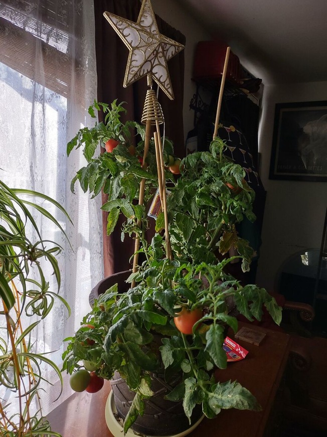 IMG_20211121_130916970_HDR-61b2f70a5545e__880