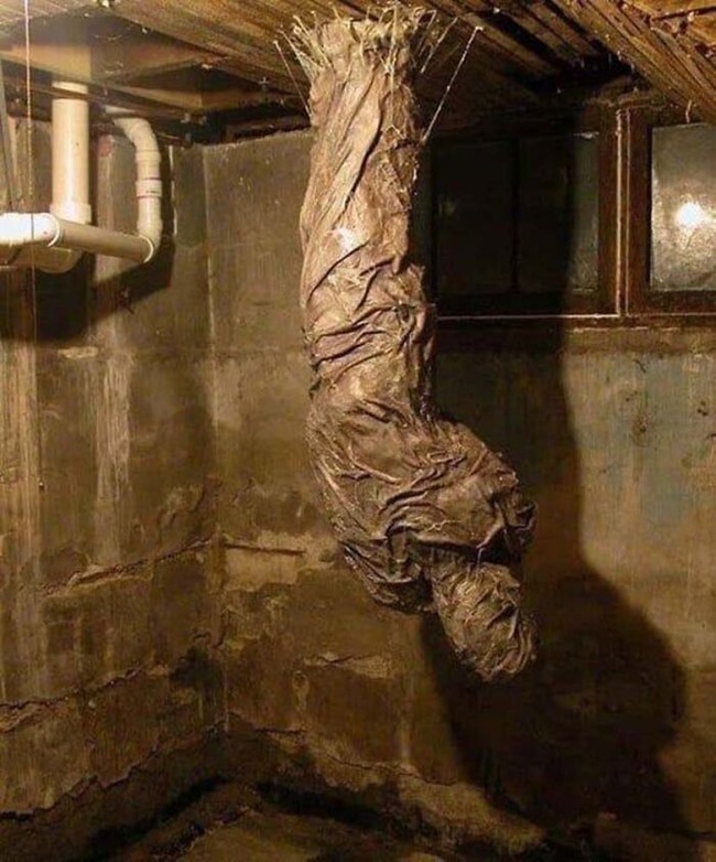 cursed-images-twitter-63565c98784cf__700