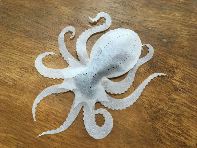 octo