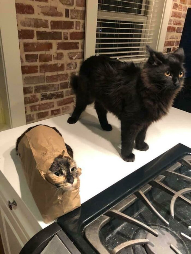 691a57b81d96e_gkwrmp4lvqg21__700