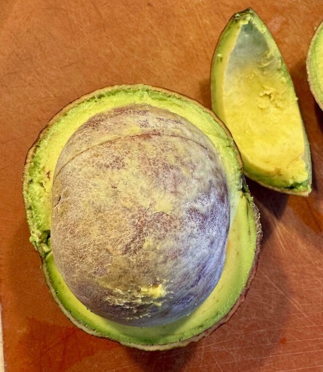 6749918b21f69_unusual-finds-in-food