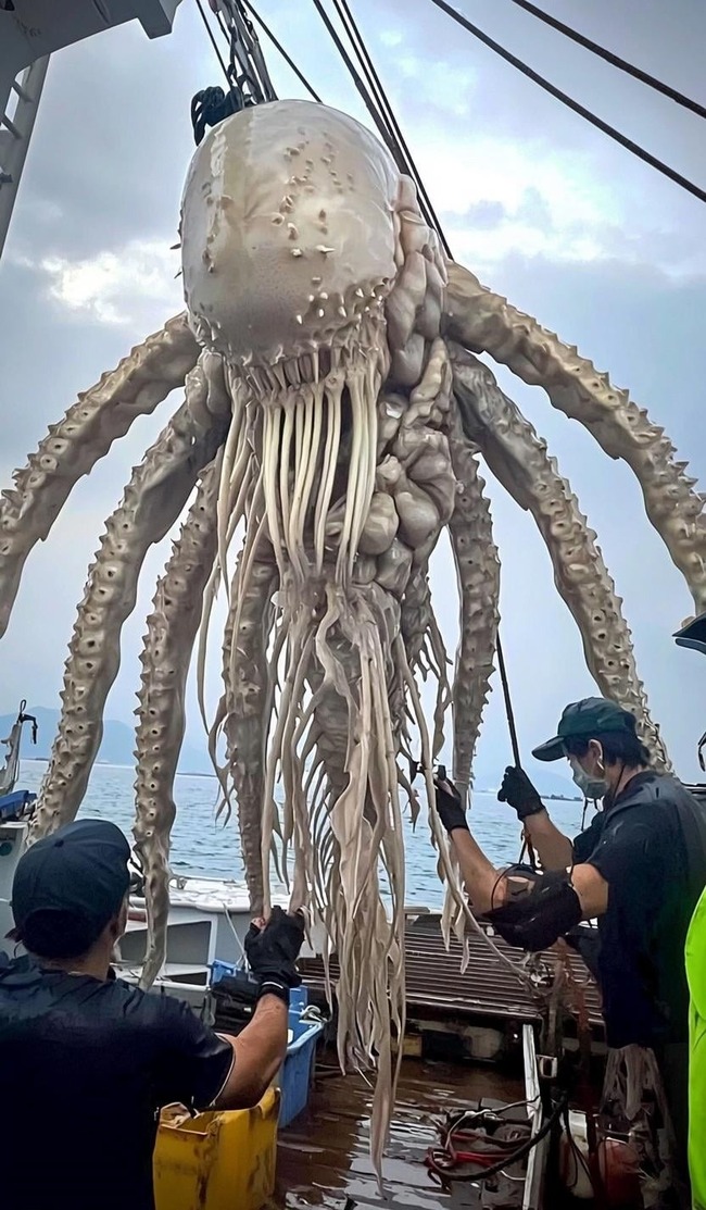 spending-a-week-on-a-japanese-fi (8)