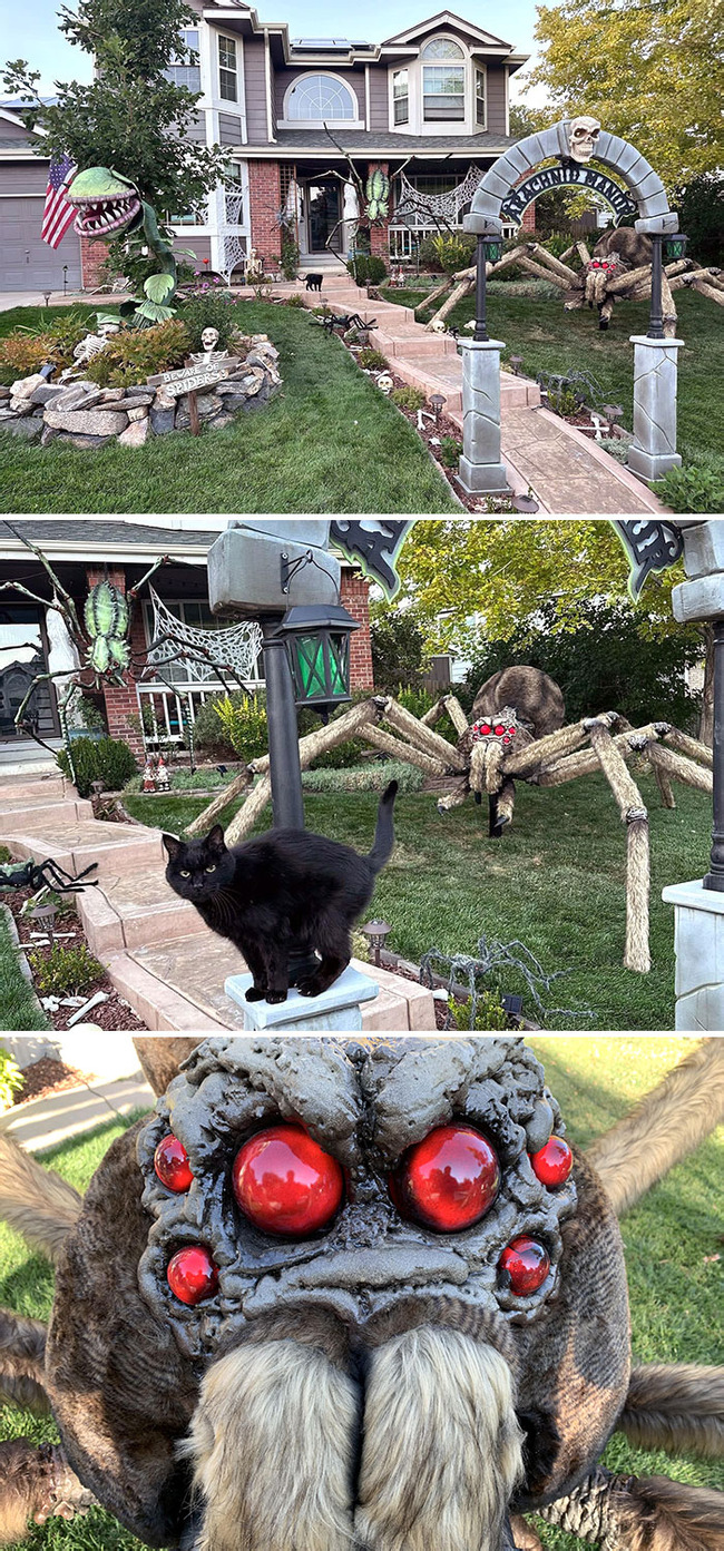 creative-halloween-decorations-exterior-122-6530e228c9cfe__700