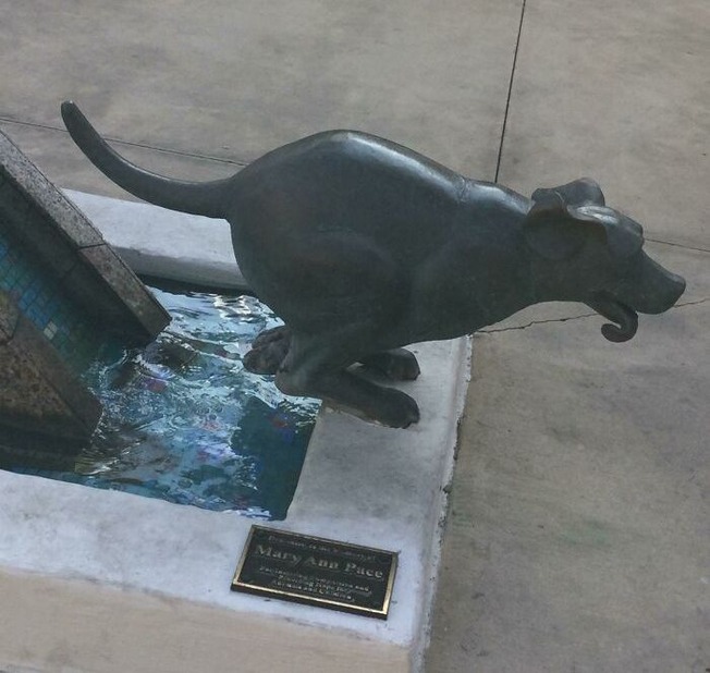 61af0eec7e3e4_xtvg0kgd63281__700