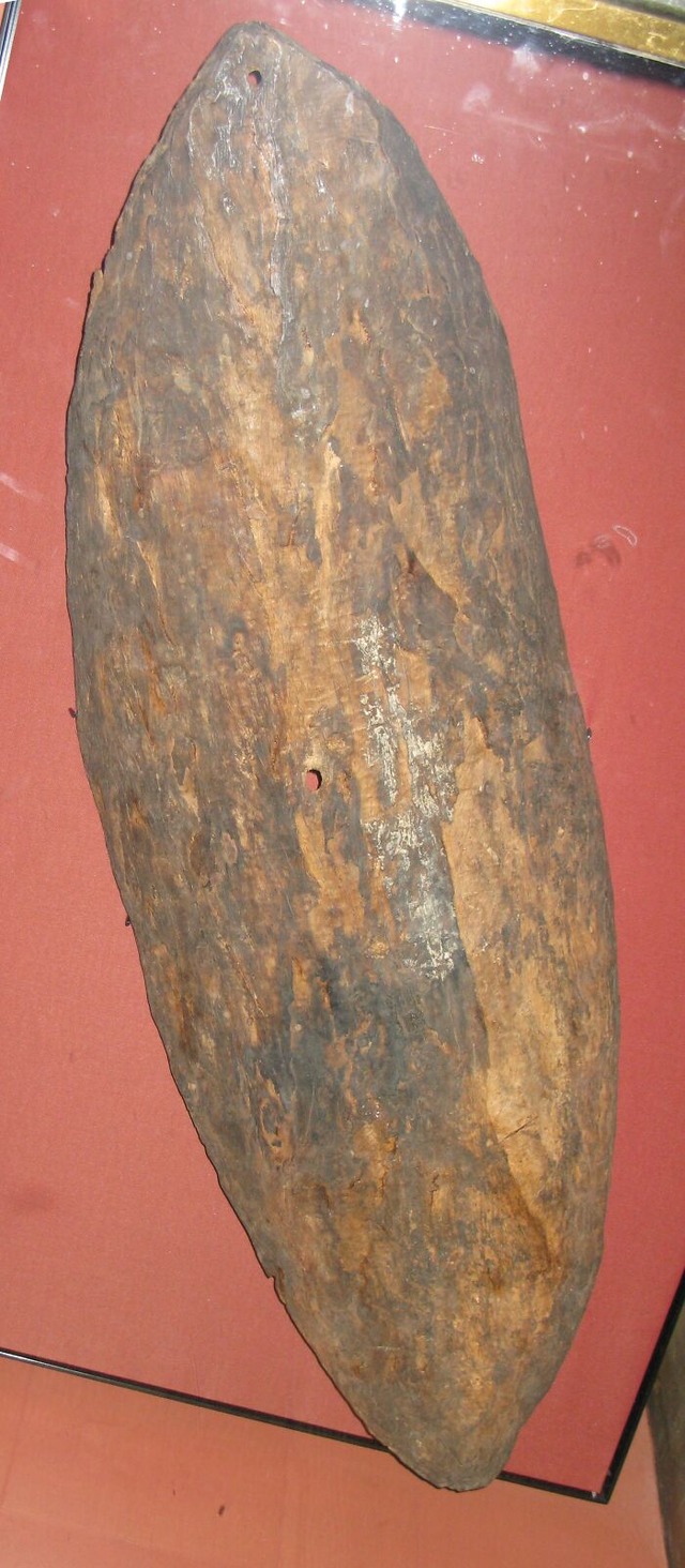 Bark_shield_2008_british_museum-6863bc514496d__700