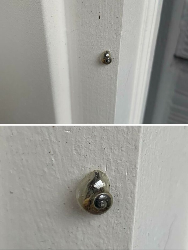 67d912b3c6d57_mind-blowing-photos