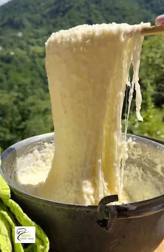cheese-based dish in your country