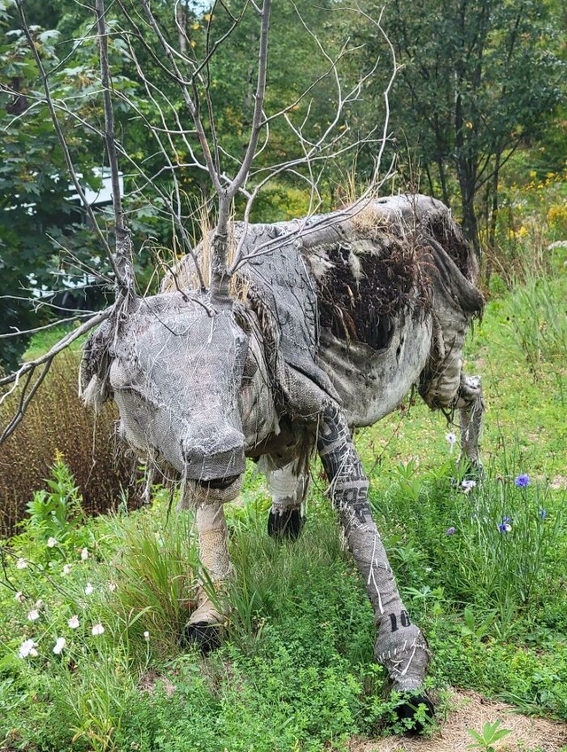 6870ba1816e11_creepy-weird-forest-finds