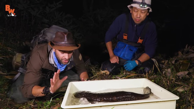 b3953d66-f1e3-42c7-81ee-a94158a8d32d