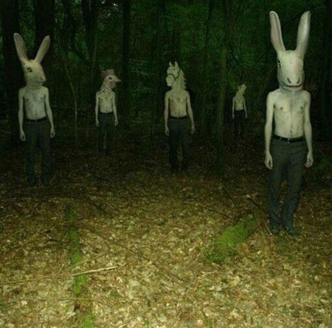 cursed-images-twitter-63565dda2c14e__700