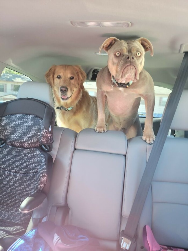 63725a9a97ae1_nkc5v71yjgu91__700