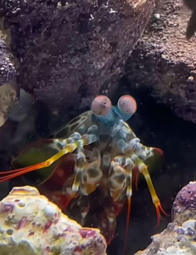 scary-ocean-photos-29-65648e7257731__700