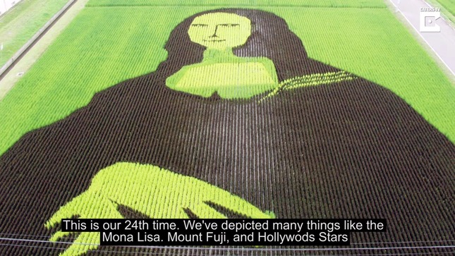 53a691a4-0d16-4513-9254-ef751687424c