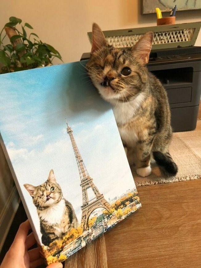 606713d681b17_qihpc6fs9r351__700