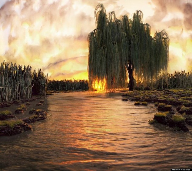 o-TREE-900