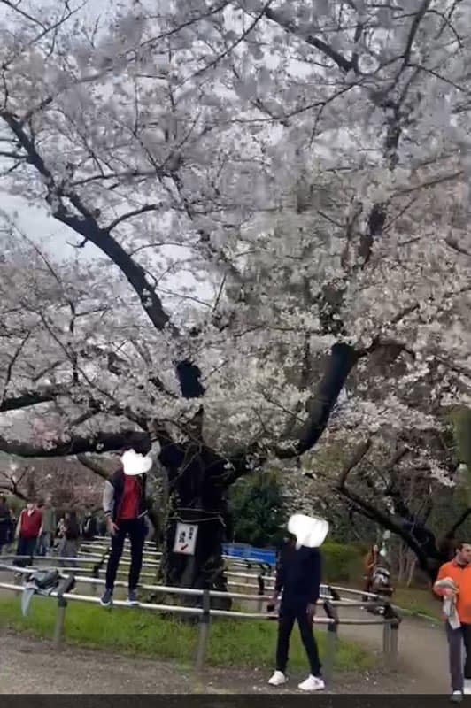 434654533_2488399928025848_7510103313190671180_n